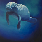 Exhibition at Galatea Art Gallery.  Córdoba