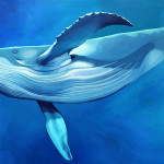 NEUTRAL BUOYANCY