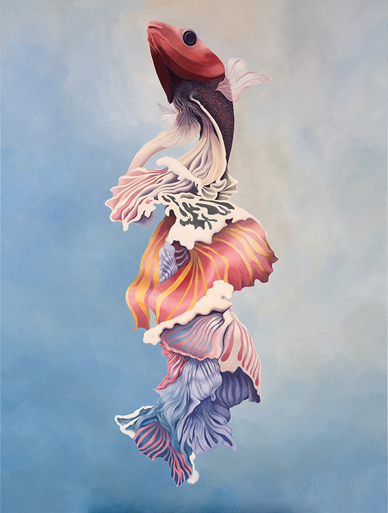 SIAMESE FIGHTING FISH 2