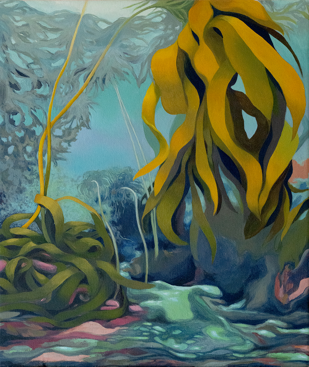 KELP FOREST 3