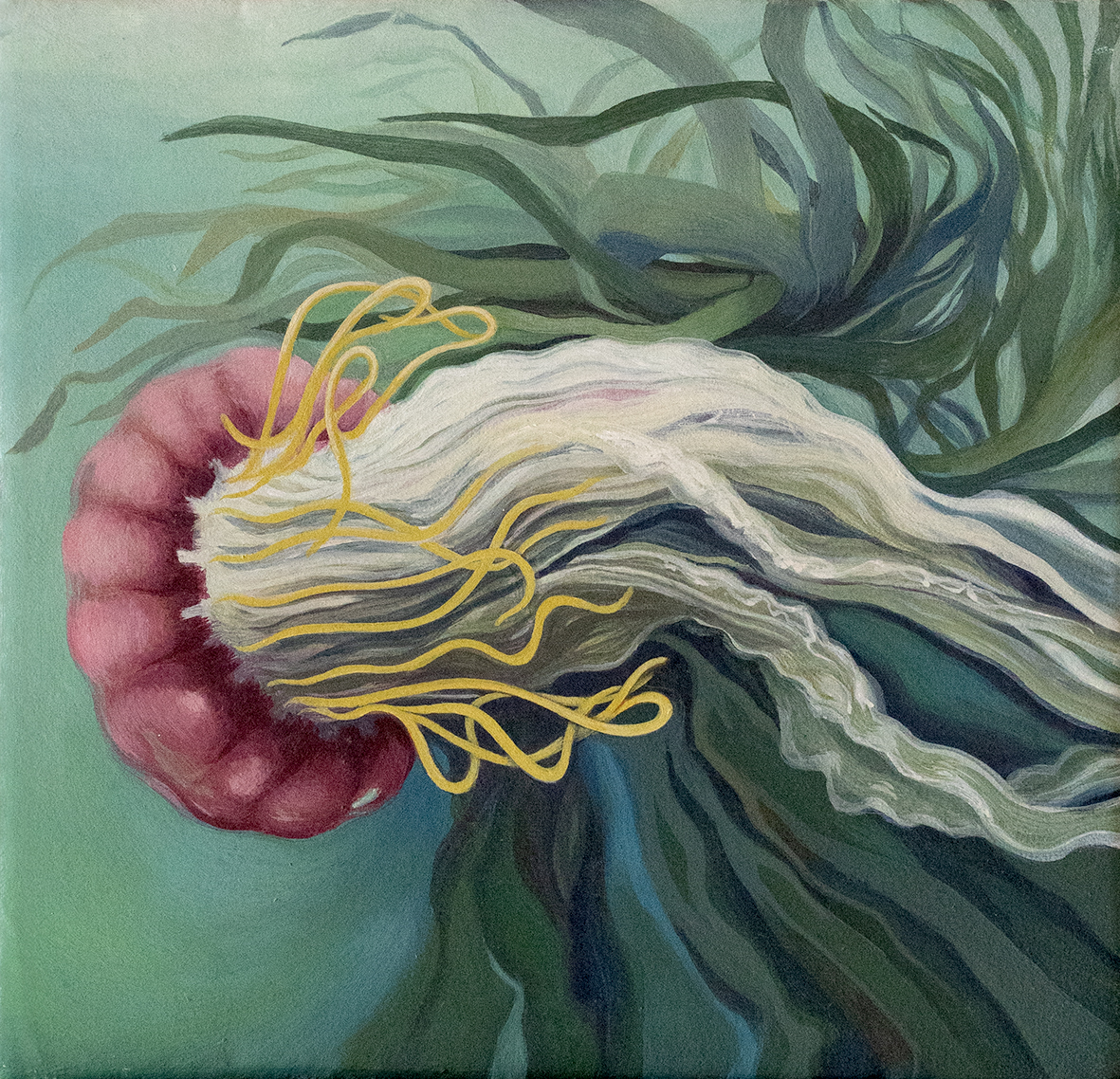 MEDUSA